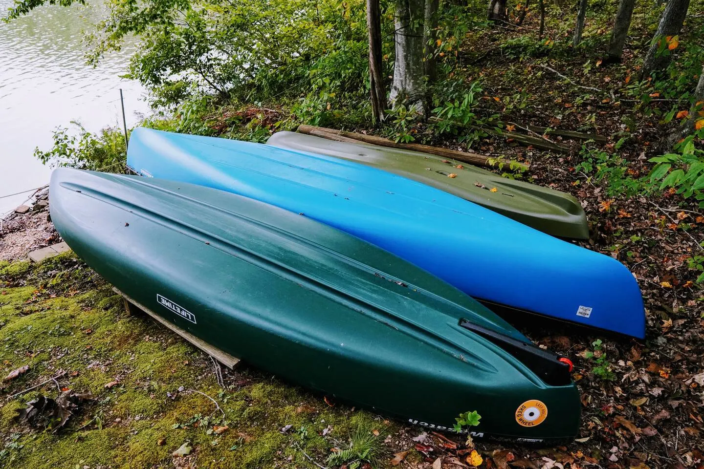 Two canoes and two kayaks resting on the grass at the edge of Mayo Lake