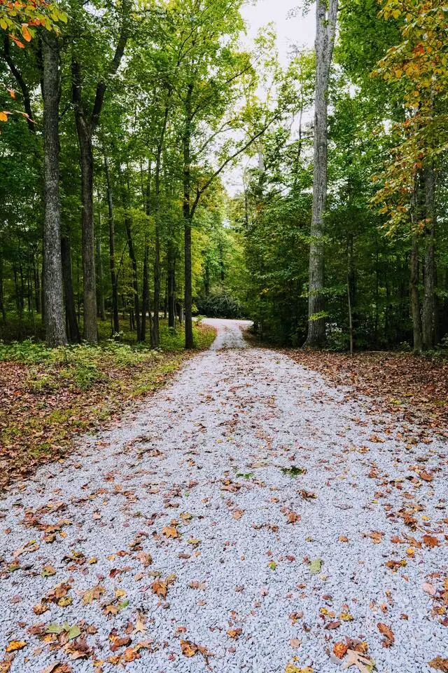 Gravel lane winding through the woods toward the lake