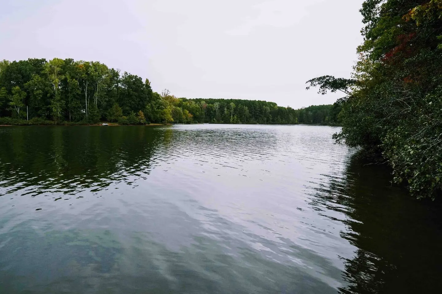 Wide, calm view across Mayo Lake ringed by forest