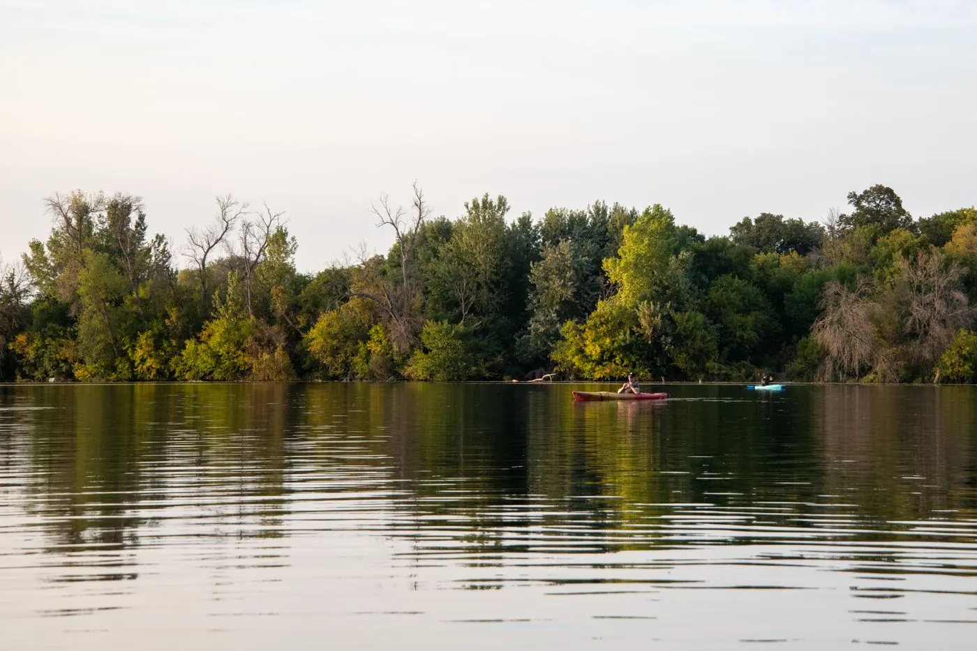Canoe on the calm, wooded water of Mayo Lake